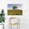 Quadro - Giba Souza - Brasil Árvore Paisagem 2 - Imagem 3