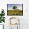Quadro - Giba Souza - Brasil Árvore Paisagem 2 - Imagem 4