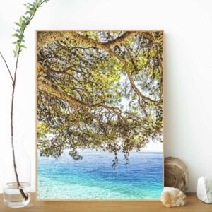 Quadro - Giba Souza - Croácia Árvore e Mar 1