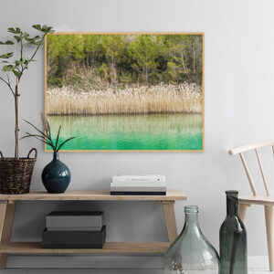 Quadro - Giba Souza - Esmeralda Trilha Ermita 2