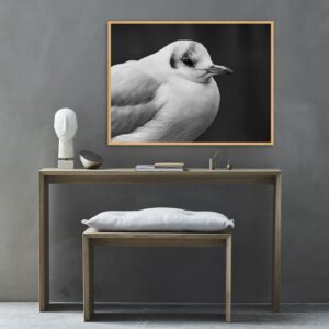 Quadro - Giba Souza - Pomba PB