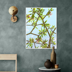 Quadro - Giba Souza - Primavera Jasmim Manga