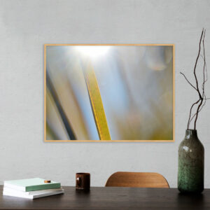 Quadro - Valéria Vieira - Natural Lines