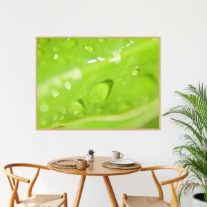 Quadro - Valéria Vieira - Freshness