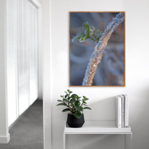 Quadro - Valéria Vieira - Inverno 2023 Broto