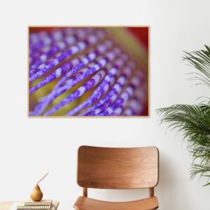 Quadro - Valéria Vieira - Passiflora