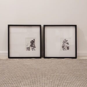 Dupla de Quadros - Rosa PB 2 e 3