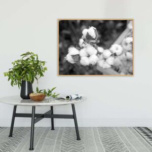 Quadro - Ayres Potthoff - Plumas PB