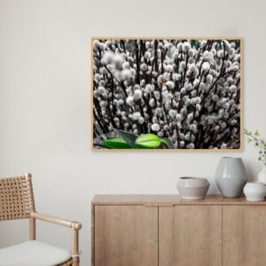 Quadro - Ayres Potthoff - Plumas PB Mix