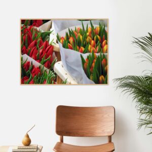 Quadro - Ayres Potthoff - Tulips In Amsterdam