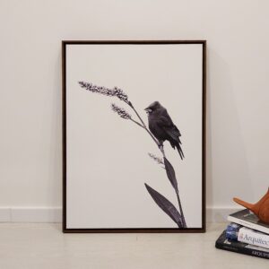 Quadro - Danilo Sbindio - Pouso Leve