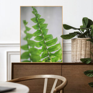 Quadro - Blacklifestylee - Geboorte