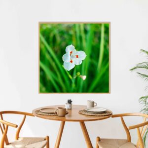 Quadro - Alexandre Salve - 6Ptls