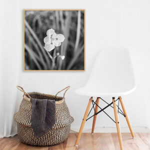 Quadro - Alexandre Salve - 6Ptls PB
