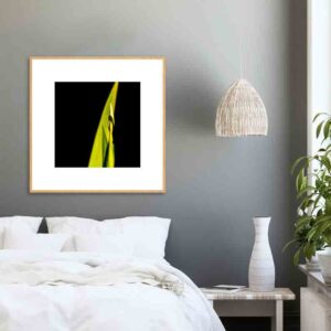 Quadro - Alexandre Salve - Na Luz