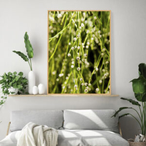 Quadro - Fernando Silva - Visão de Natureza 2