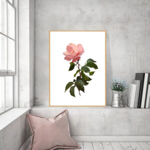 Quadro - Ionara Passos - Flor Solo 1