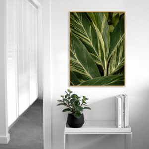 Quadro - Sofia Monzani - Alpinia