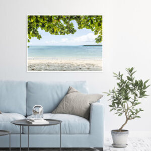 Quadro - Sofia Monzani - Amendoeira