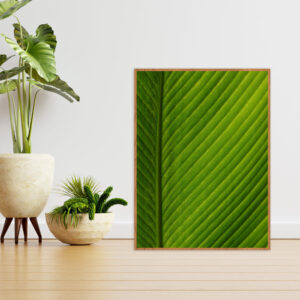 Quadro - Sofia Monzani - Calatea
