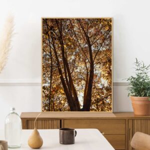 Quadro - Sofia Monzani - Crescimento