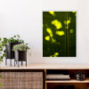 Quadro - Sofia Monzani - Luz I - Image 3