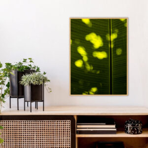 Quadro - Sofia Monzani - Luz I