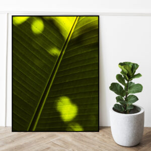 Quadro - Sofia Monzani - Luz II
