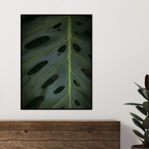 Quadro - Sofia Monzani - Monstera Deliciosa I