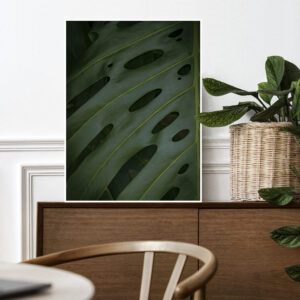 Quadro - Sofia Monzani - Monstera Deliciosa II