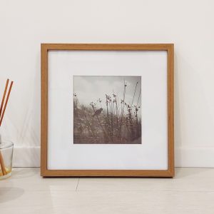Quadro - Arthur Kolbetz - Equilíbrio