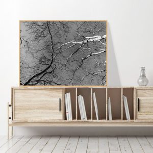 Quadro - Renato Molás - Raízes