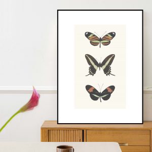 Quadro - Clara Heinrich - Native