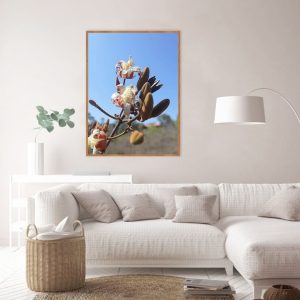 Quadro - Danilo Sbindio - Flor