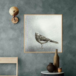 Quadro - Pedro Maestri - Pássaro Amarronzado