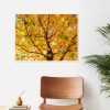 Quadro - Pedro Leal - Sunset Square 1 - Imagem 3