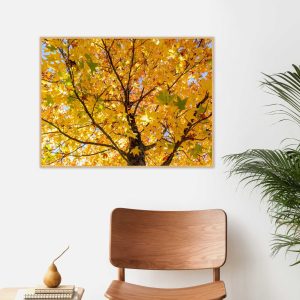 Quadro - Pedro Leal - Sunset Square 1