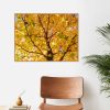 Quadro - Pedro Leal - Sunset Square 1 - Imagem 2