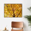 Quadro - Pedro Leal - Sunset Square 1 - Imagem 4