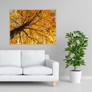 Quadro - Pedro Leal - Sunset Square 2