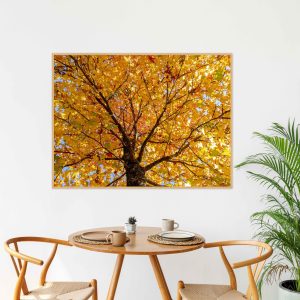 Quadro - Pedro Leal - Sunset Square 3