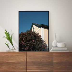 Quadro - Greice Emer - Bromélias