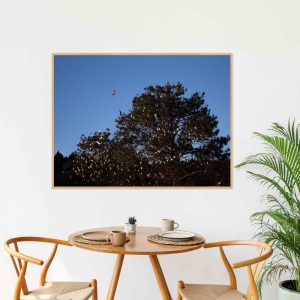 Quadro - Greice Emer - De Volta Pra Casa