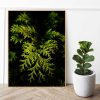 Quadro - Greice Emer - Folha De Pinheiro