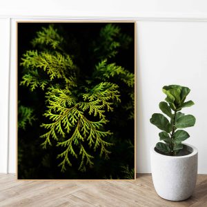 Quadro - Greice Emer - Folha De Pinheiro