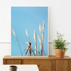 Quadro - Greice Emer - Vassourinhas