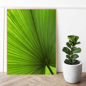 Quadro - Henrique Batezini - As Folhas Do Inhotim 1