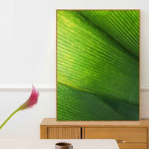 Quadro - Henrique Batezini - As Folhas Do Inhotim 2