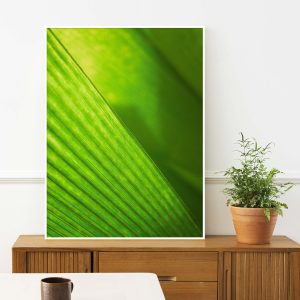 Quadro - Henrique Batezini - As Folhas Do Inhotim 3