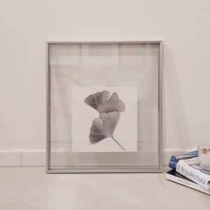 Quadro - Danilo Sbindio - Planta Cinzenta 1